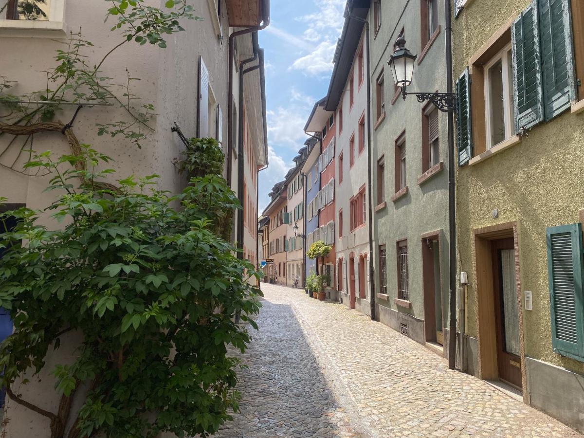 Neu / Design / Altstadt / Kueche / Netflix Bad Sackingen Exterior photo